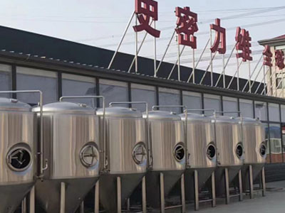 朝阳精酿啤酒设备厂—市场规模与跨界新需求
